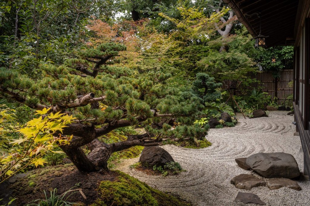 広縁から望む日本庭園2