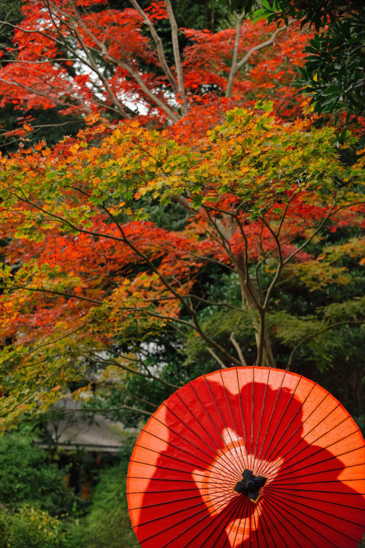 赤い番傘に映る新郎新婦のシルエット